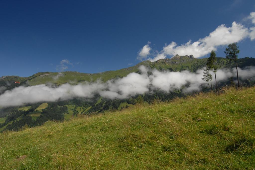 Gaestehaus Gratz - Inklusive Eintritt In Die Alpentherme ดอร์ฟกาชไตน์ ภายนอก รูปภาพ